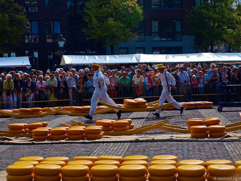Foto: Mercado de quesos - Alkmaar (North Holland), Países Bajos