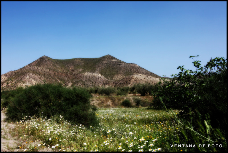 Foto: Fort Bravo - Desierto De Tabernas (Almería), España