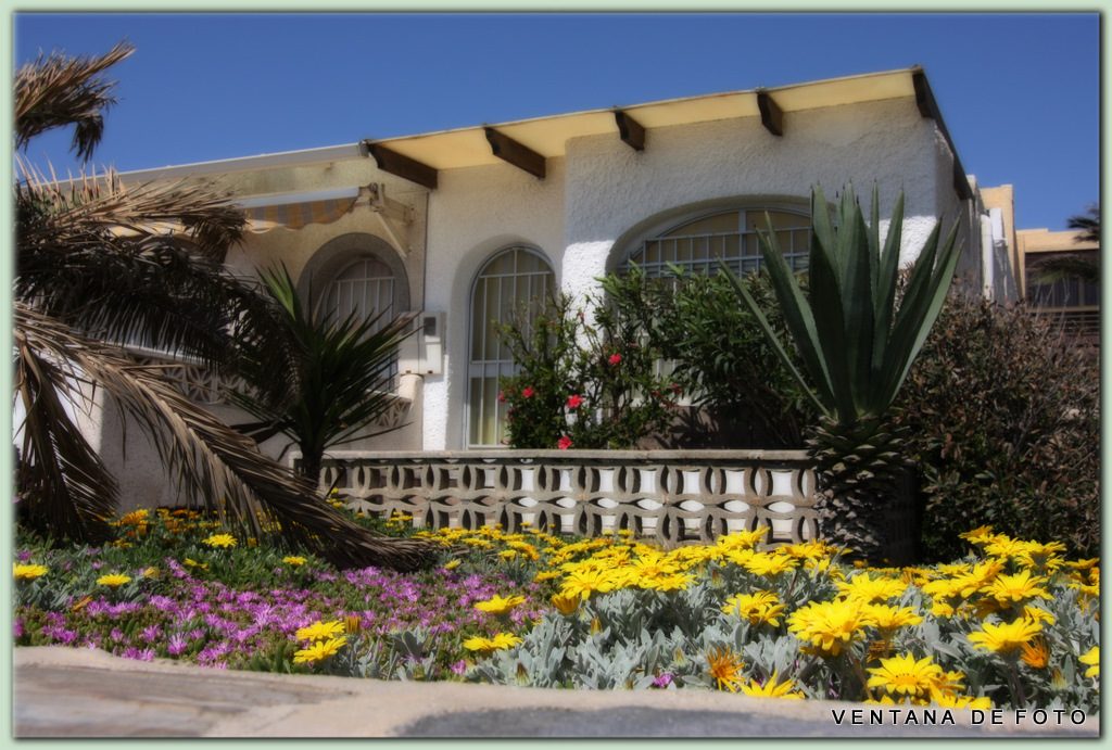 Foto: POR EL PASEO DEL MAR - Roquetas De Mar (Almería), España