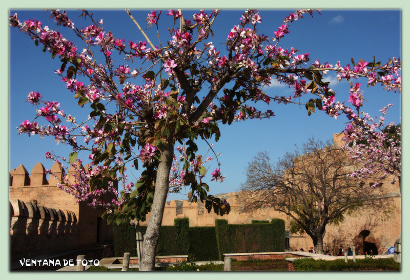 Foto: ALCAZABA - Almería (Andalucía), España