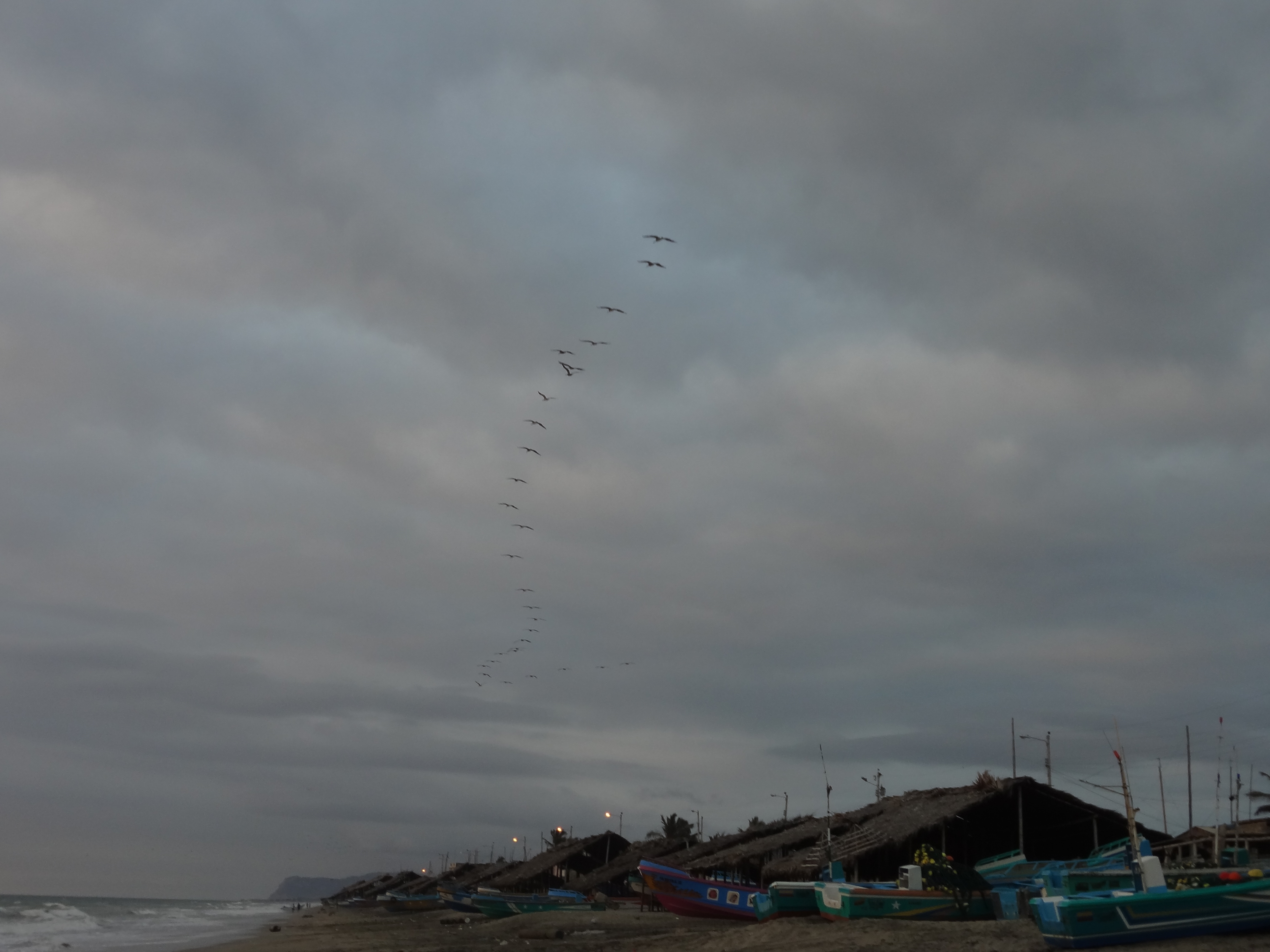 Foto: Formación pelicano - Crucita (Manabí), Ecuador