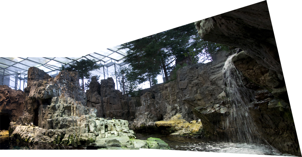 Foto: Oceanográfico - Lisboa, Portugal