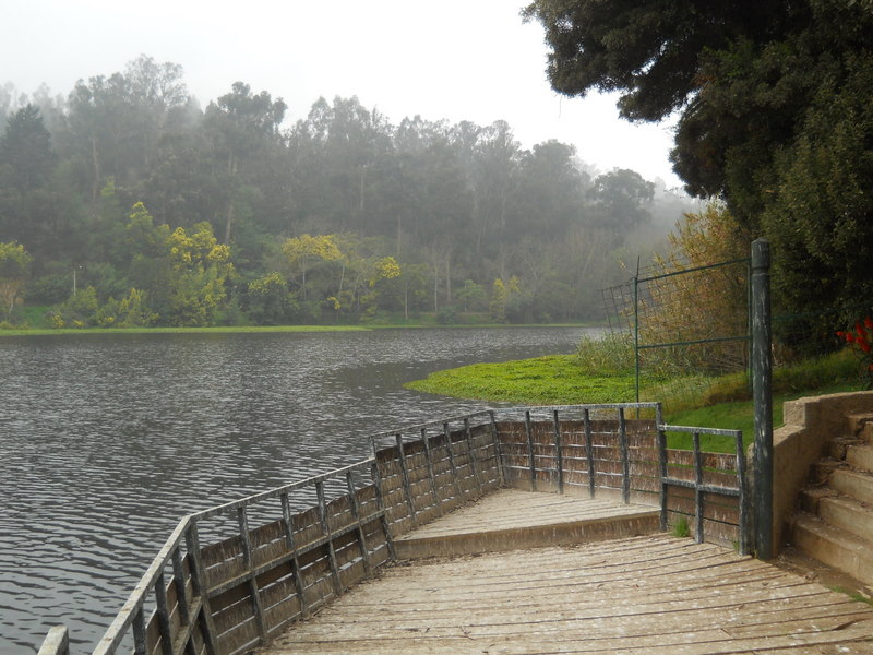 Foto: laguna sausalito - Viña Del Mar (Valparaíso), Chile