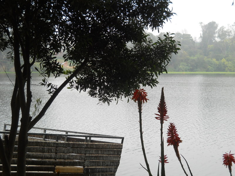Foto: laguna sausalito - Viña Del Mar (Valparaíso), Chile