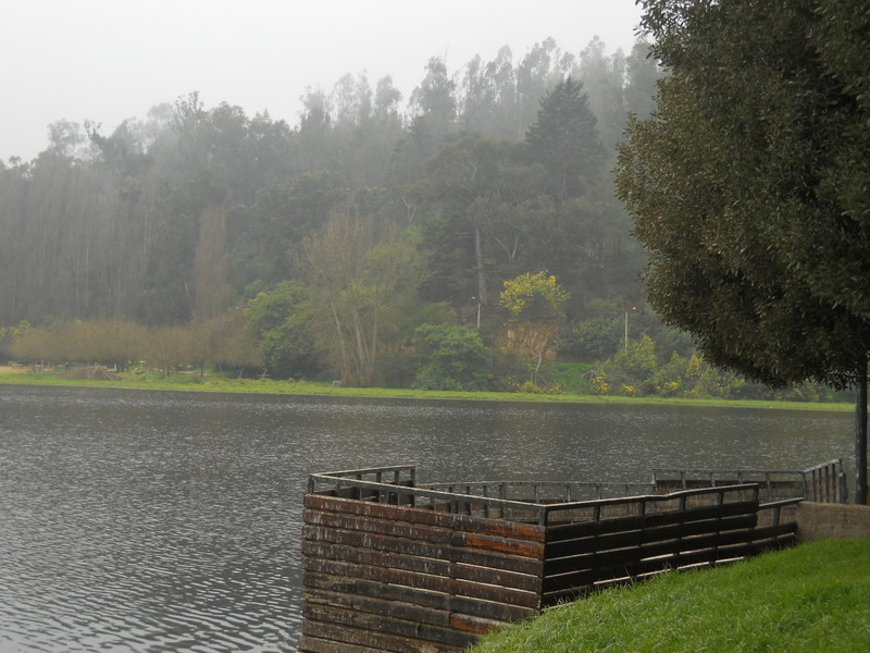 Foto: laguna sausalito - Viña Del Mar (Valparaíso), Chile
