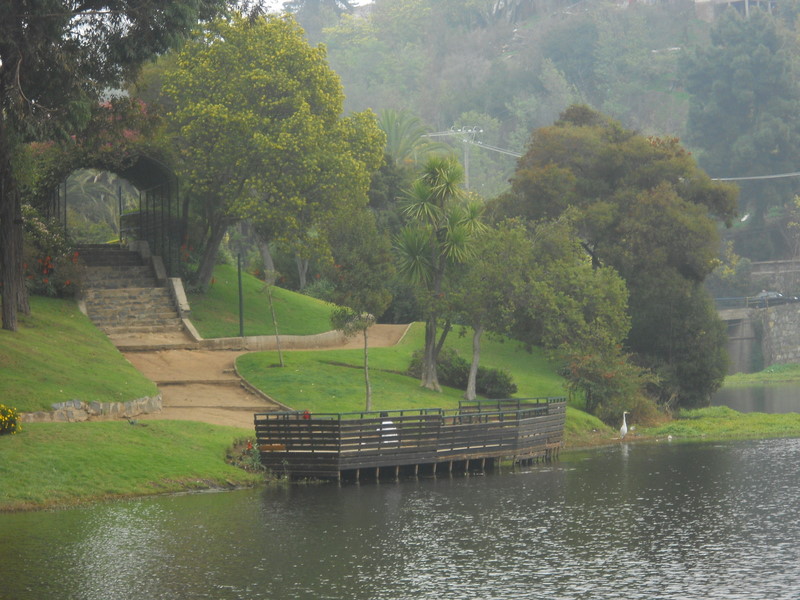 Foto: laguna sausalito - Viña Del Mar (Valparaíso), Chile