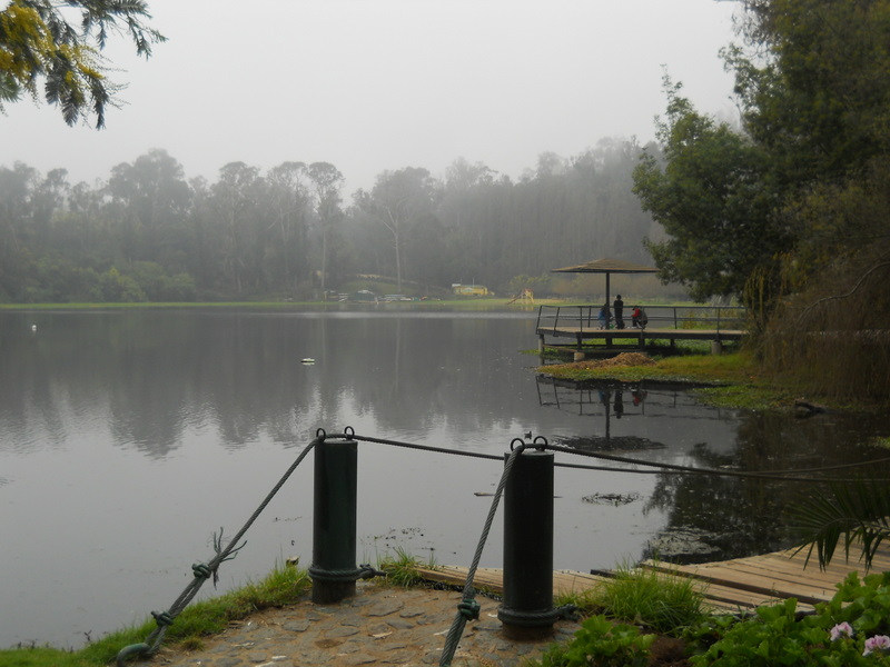 Foto: laguna sausalito - Viña Del Mar (Valparaíso), Chile