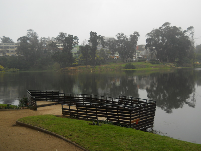 Foto: laguna sausalito - Viña Del Mar (Valparaíso), Chile