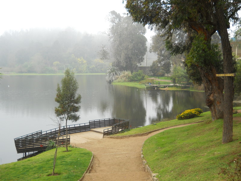 Foto: laguna sausalito - Viña Del Mar (Valparaíso), Chile
