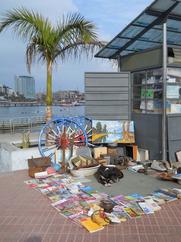 Foto: antofagasta - Antofagasta, Chile