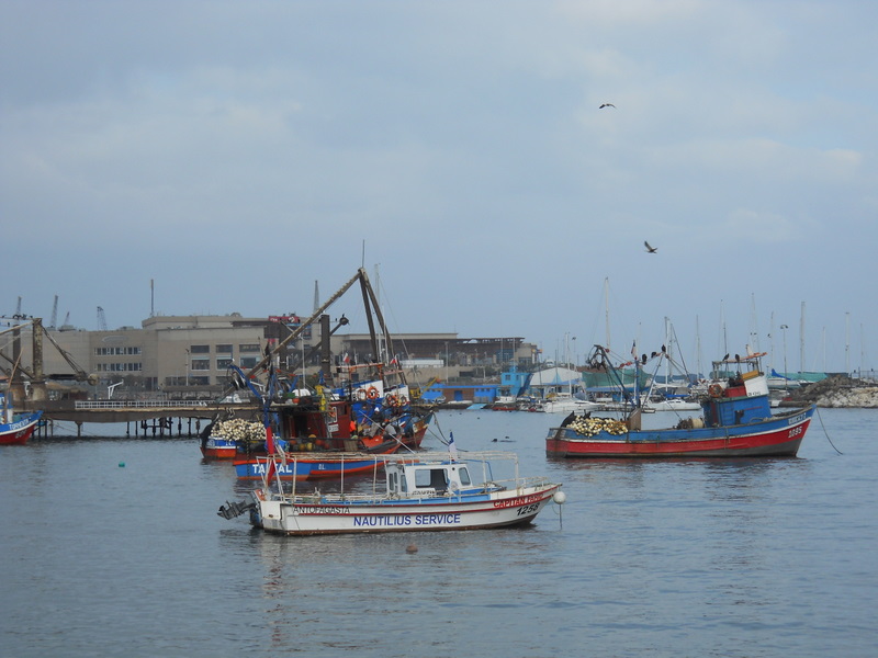 Foto: antofagasta - Antofagasta, Chile