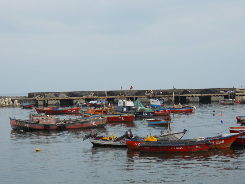 Foto: antofagasta - Antofagasta, Chile