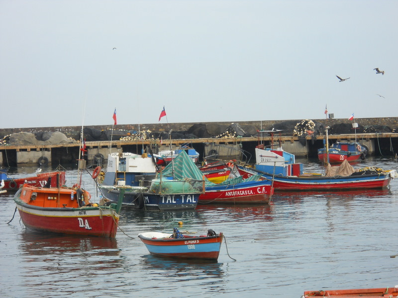 Foto: antofagasta - Antofagasta, Chile