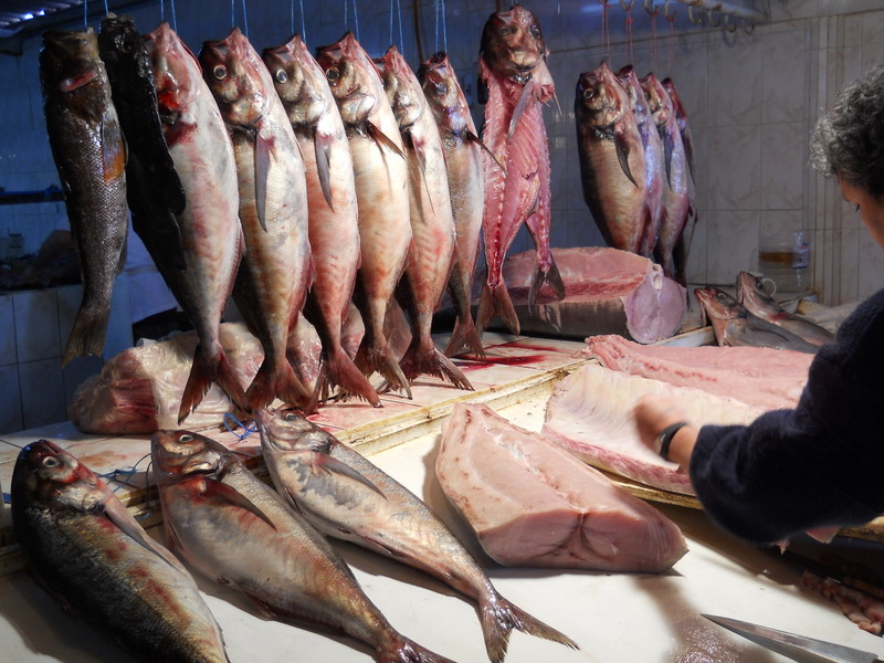 Foto: antofagasta - Antofagasta, Chile