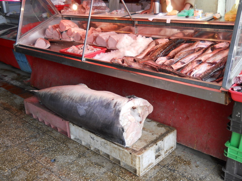 Foto: antofagasta - Antofagasta, Chile