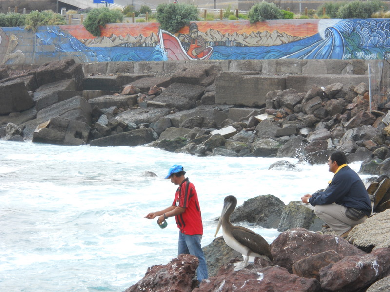 Foto: antofagasta - Antofagasta, Chile