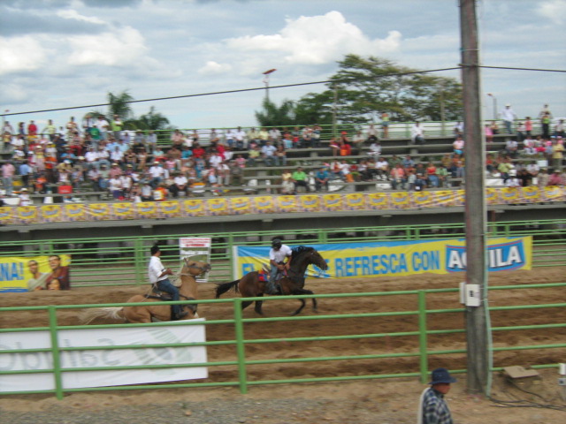 Foto: Coleo - Villavo (Boyacá), Colombia