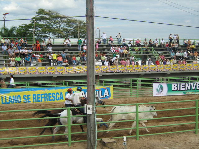 Foto: Coleo - Villavo (Boyacá), Colombia
