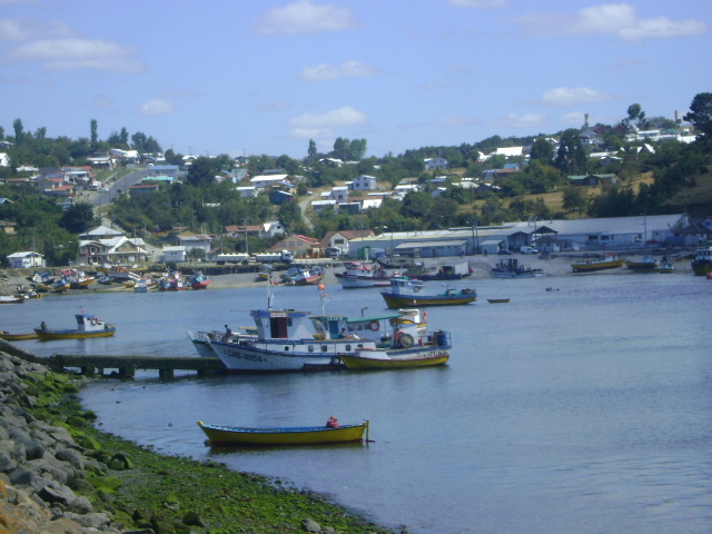 Foto: Puerto. - Puerto Montt (Calbuco) (Los Lagos), Chile
