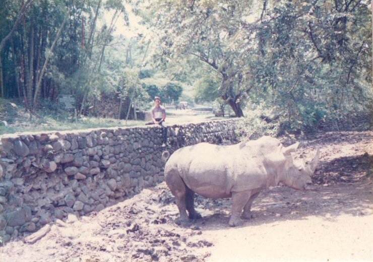 Foto: Zoologico - Cali, Colombia