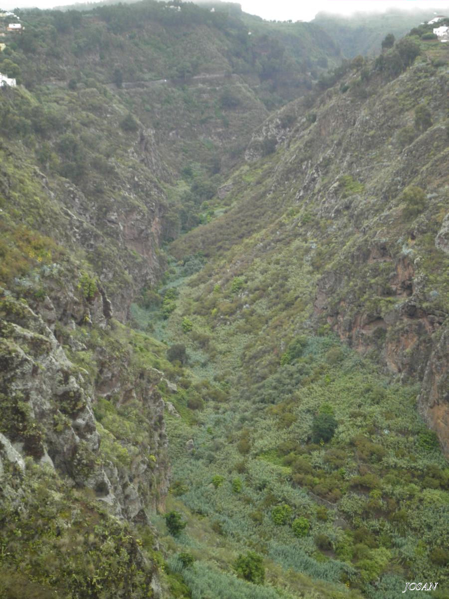 Foto: visitando moya - Moya (Las Palmas), España