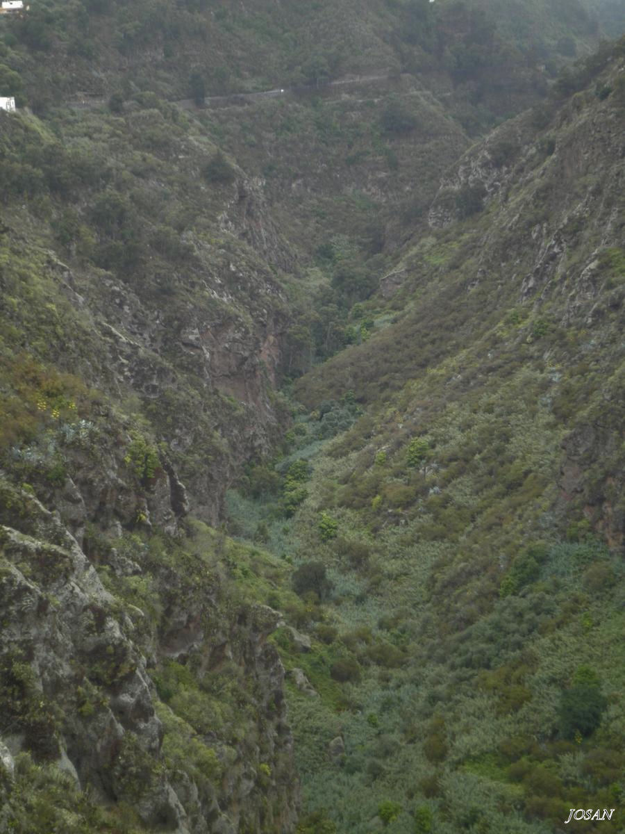 Foto: visitando moya - Moya (Las Palmas), España