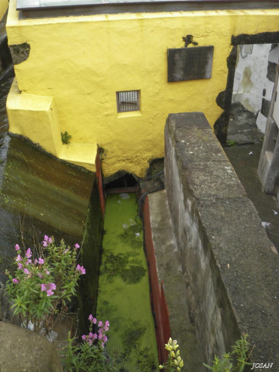 Foto: visitando moya - Moya (Las Palmas), España