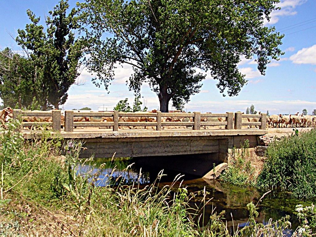 Foto: EL PUENTE DEL CEMENTERIO - Zuares Del Pàramo (León), España