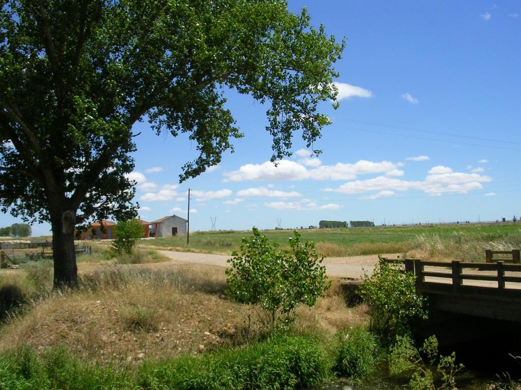 Foto: HACIA EL CEMENTERIO - Zuares Del Pàramo (León), España