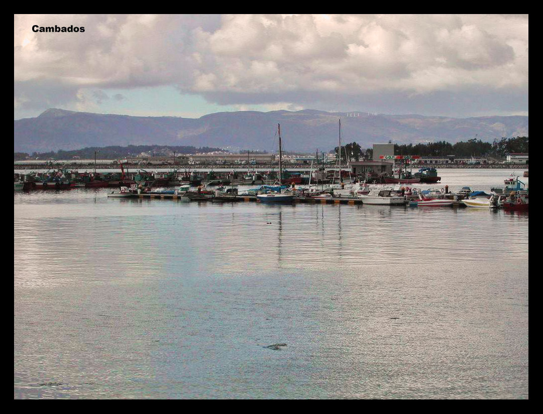 Foto de Cambados (Pontevedra), España