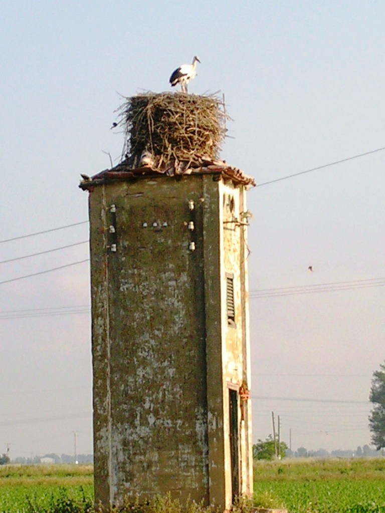 Foto: El Viejo Transformador - Zuares Del Pàramo (León), España