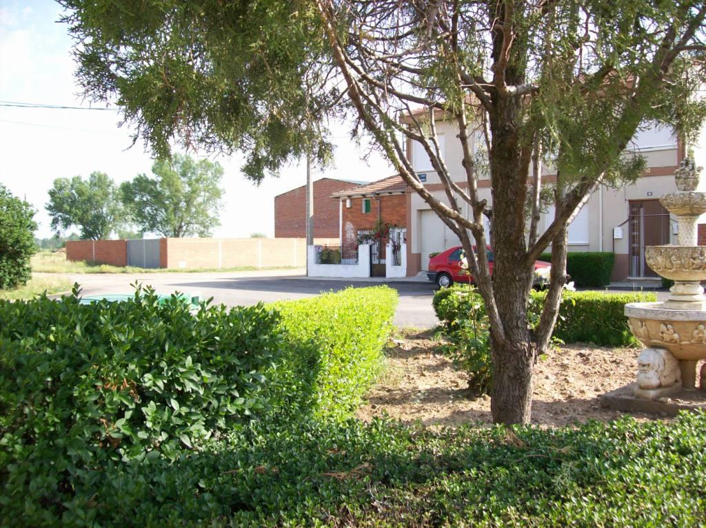 Foto: Jardin C/arriba - Zuares Del Páramo (León), España