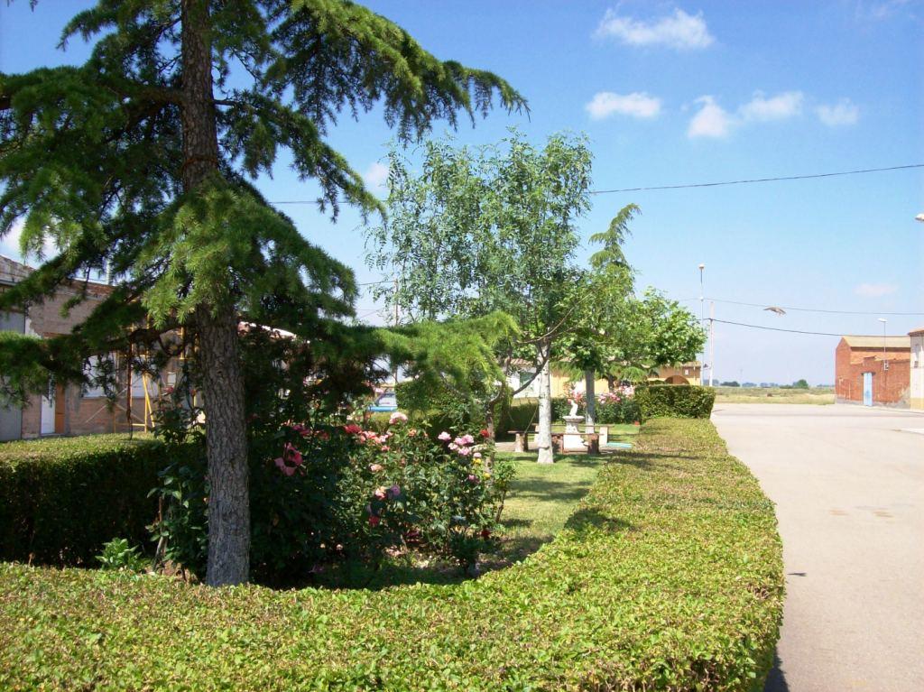 Foto: Jardin C/canton - Zuares Del Páramo (León), España