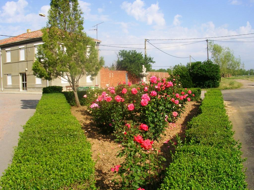 Foto: El Jardin De La C/jose Barrera - Zuares Del Páramo (León), España