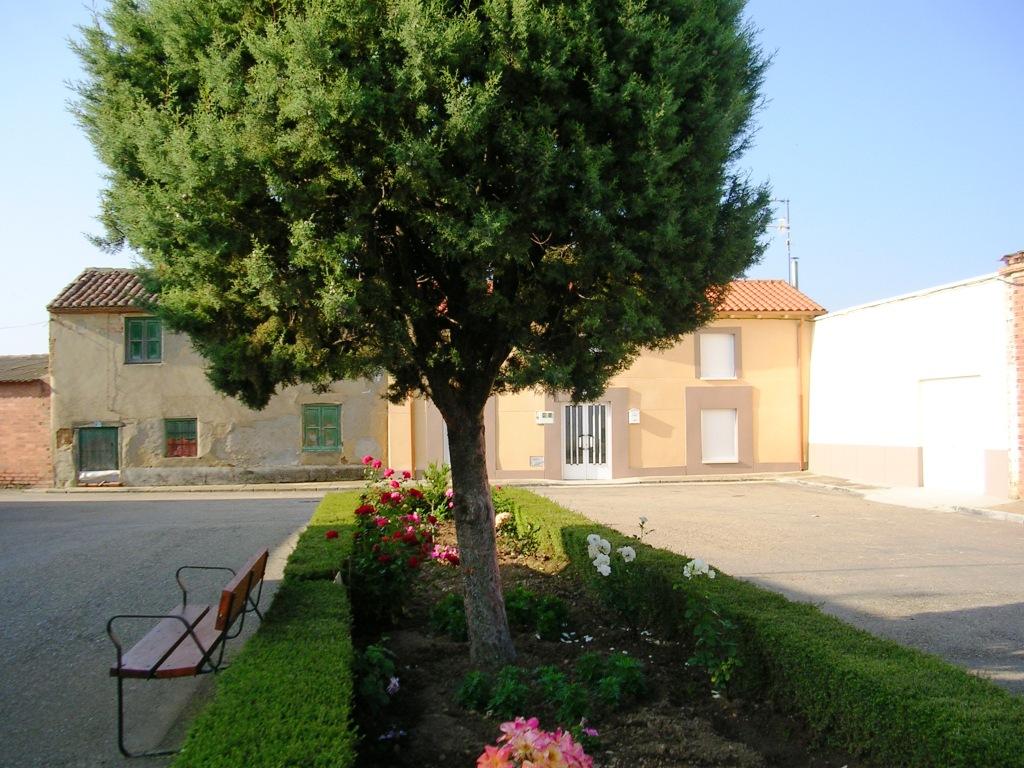 Foto: Jardin C/ Arriba - Zuares Del Páramo (León), España