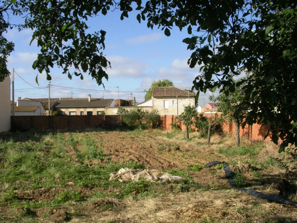 Foto: Huerta En La C/arriba - Zuares Del Páramo (León), España