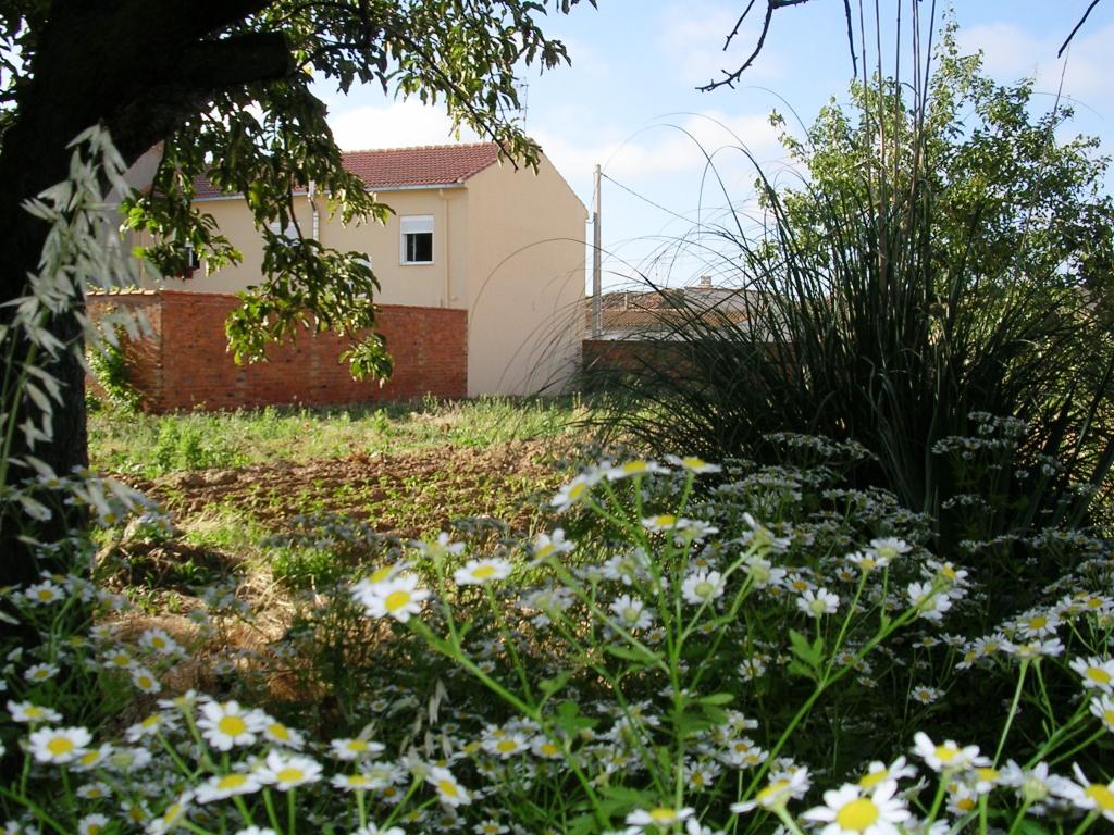 Foto: Huerta En La C/arriba - Zuares Del Páramo (León), España