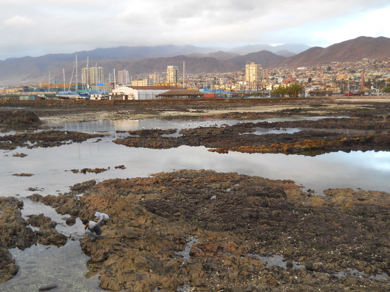 Foto: Antofagasta 2011 - Antofagasta, Chile