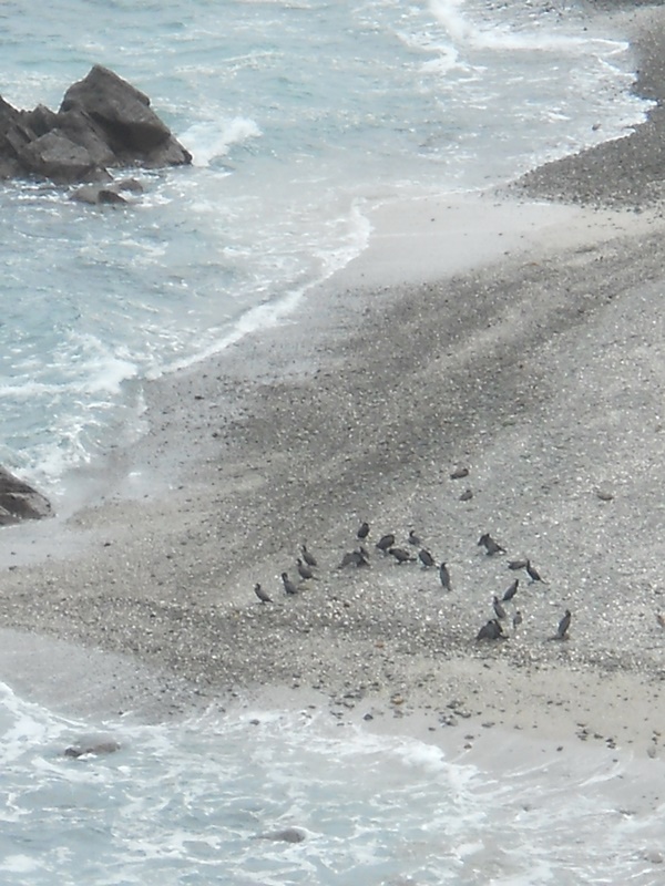 Foto: Antofagasta - Antofagasta, Chile