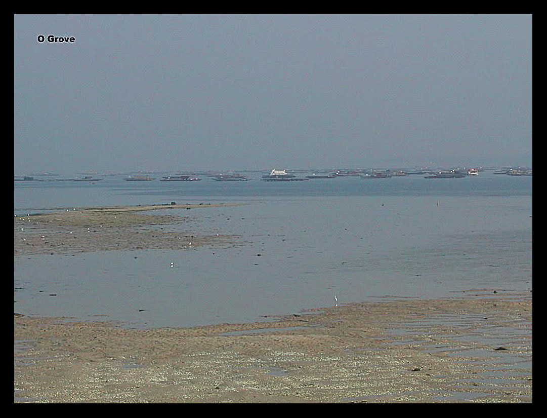 Foto de El Grove (Pontevedra), España