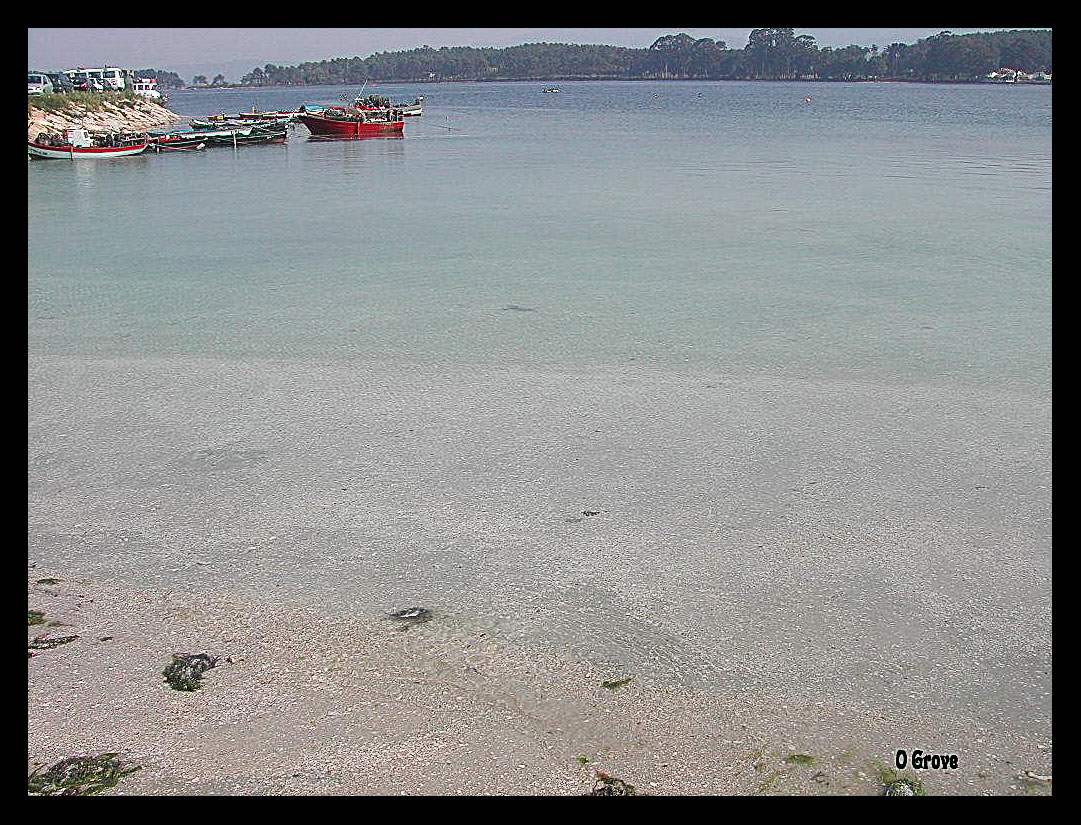 Foto de El Grove (Pontevedra), España