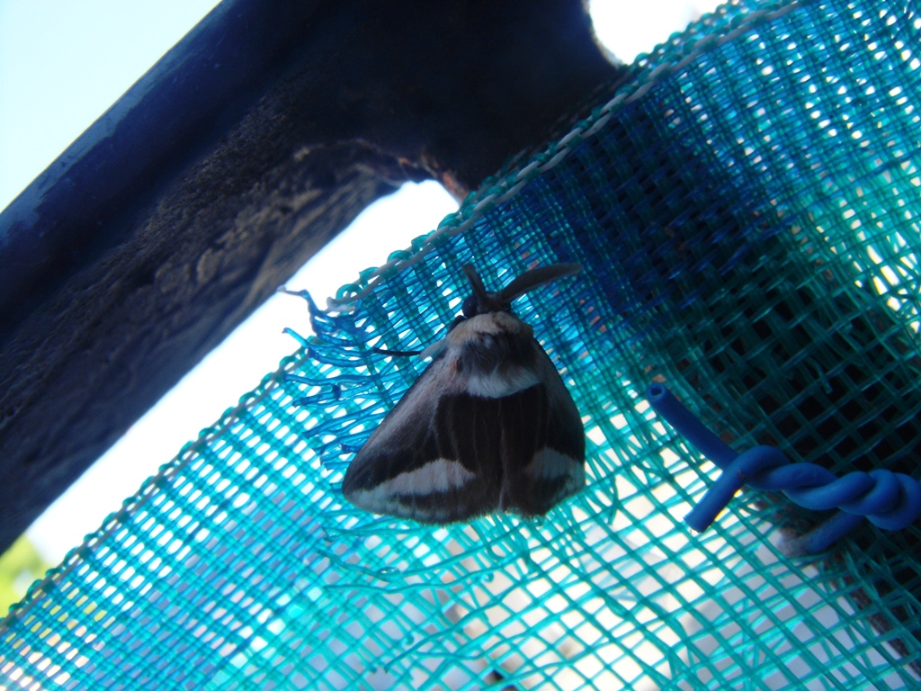 Foto de Tapachula (Chiapas), México