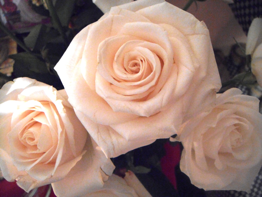 Foto de Tapachula (Chiapas), México