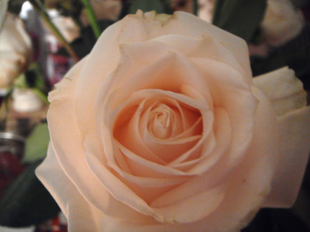 Foto de Tapachula (Chiapas), México