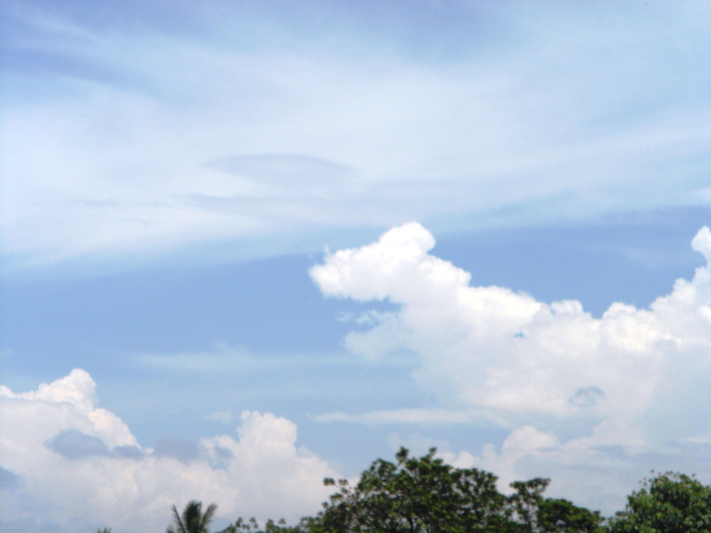 Foto: dinosaurio - Tapachula (Chiapas), México