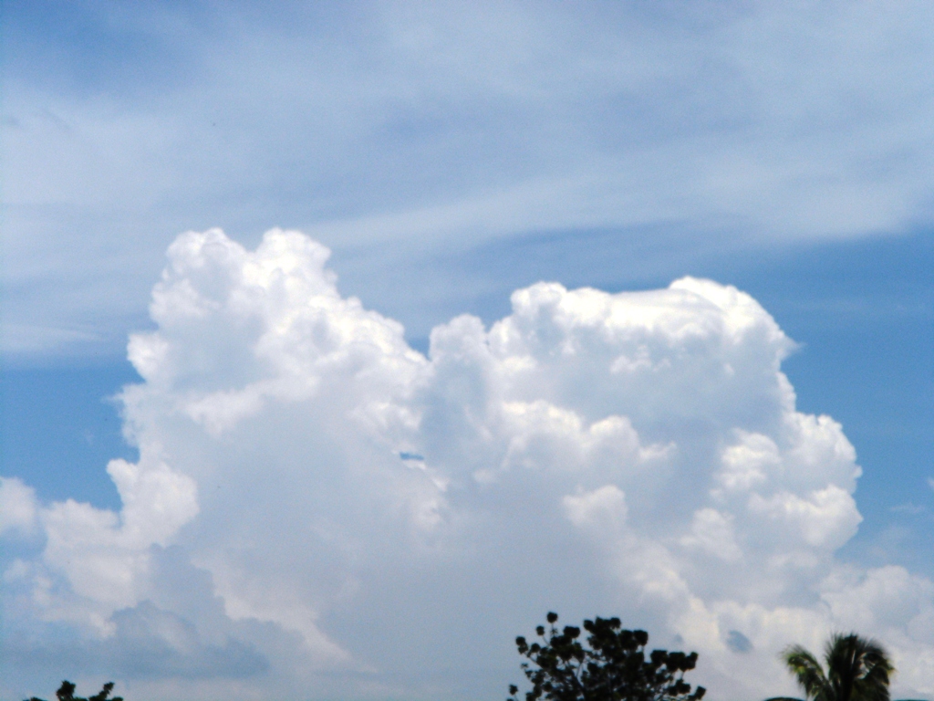 Foto: el beso - Tapachula (Chiapas), México
