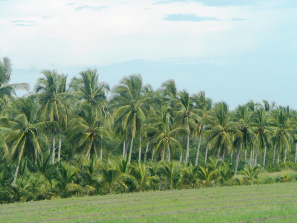 Foto de Barra San José (Chiapas), México