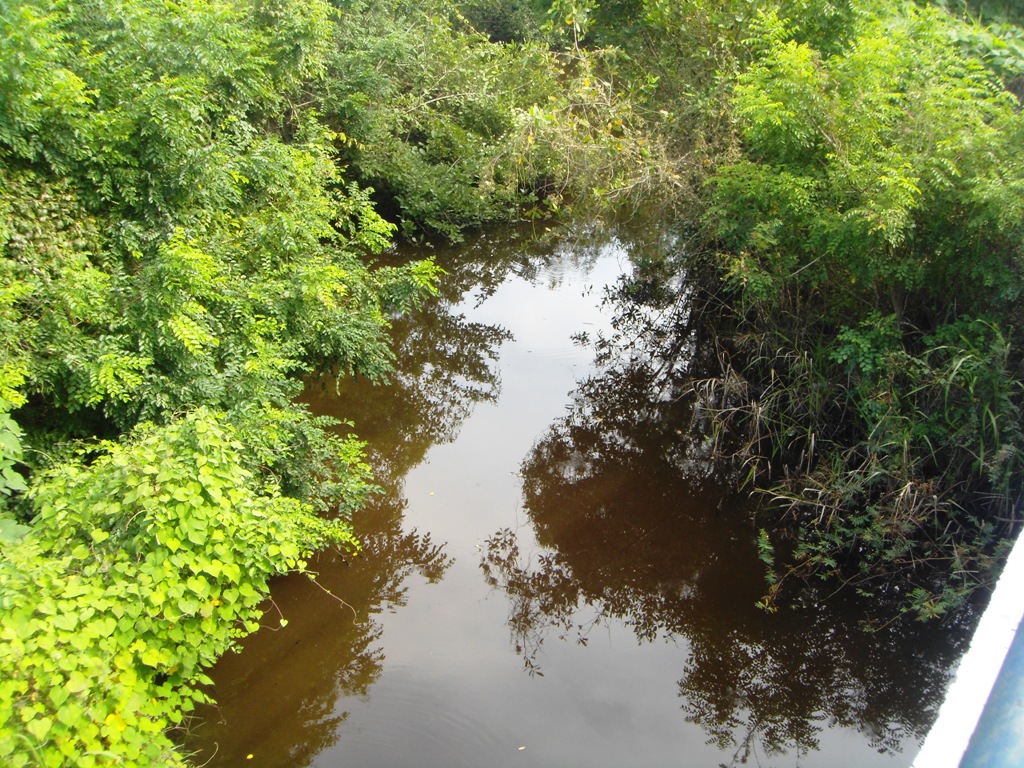 Foto de Barra San José (Chiapas), México
