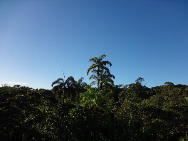 Foto: Amanecer - Shell (Pastaza), Ecuador