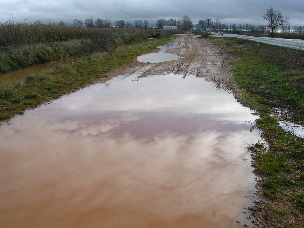 Foto: Reflejo En El Charco - Zuares Del Pàramo (León), España